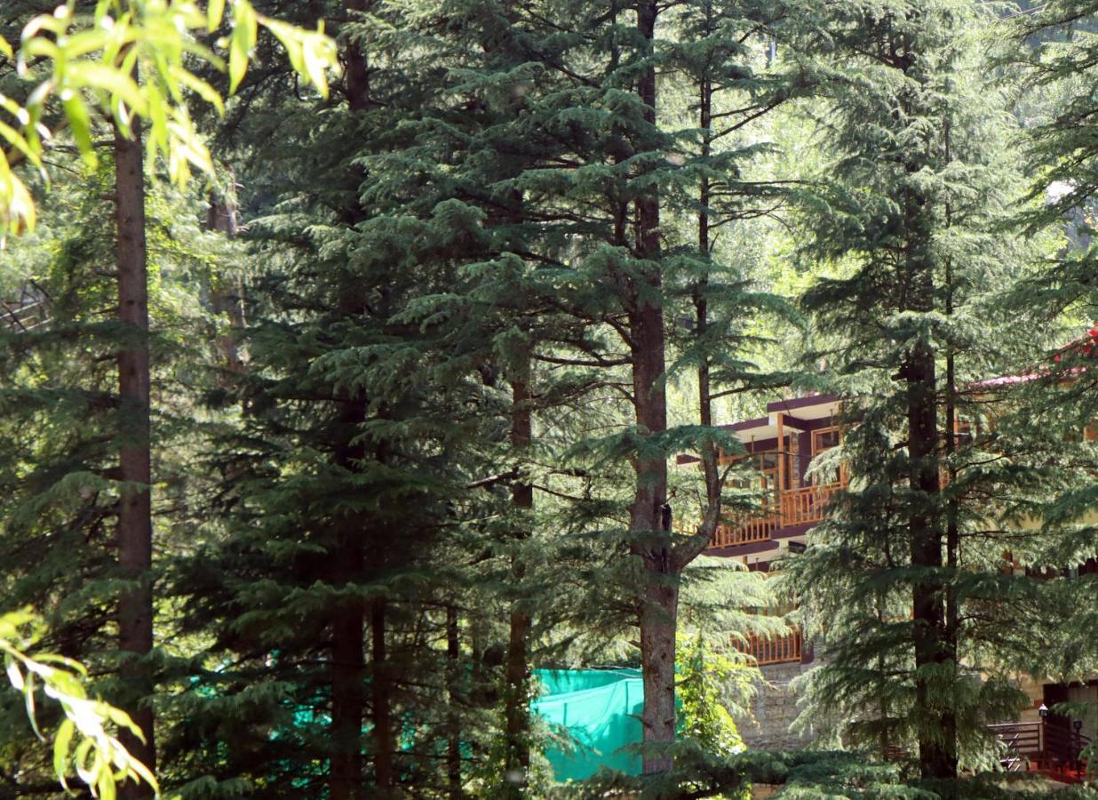 The Himalayan Heaven Leilighet Jibhi Eksteriør bilde