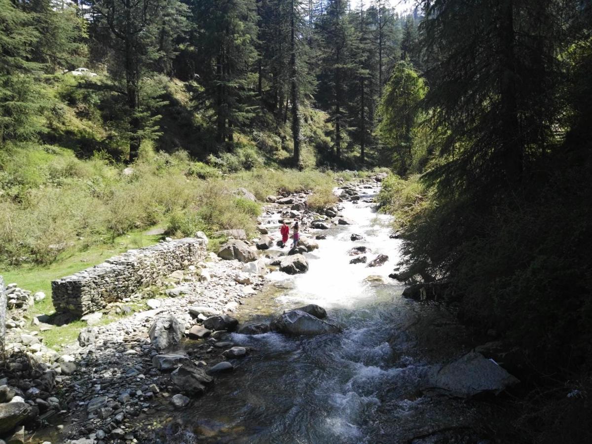 The Himalayan Heaven Leilighet Jibhi Eksteriør bilde